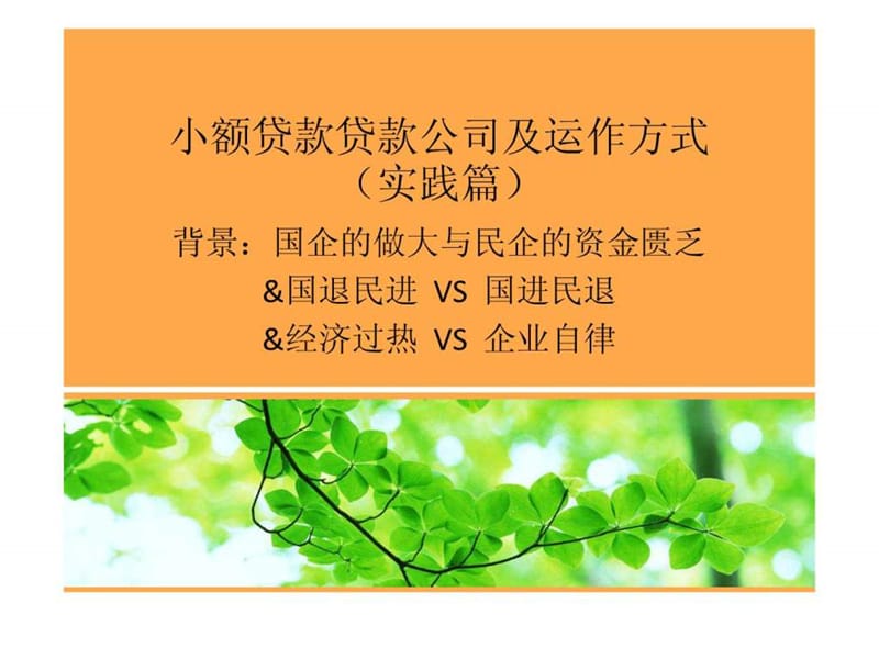 小额贷款贷款公司及运作方式_图文.ppt.ppt_第1页