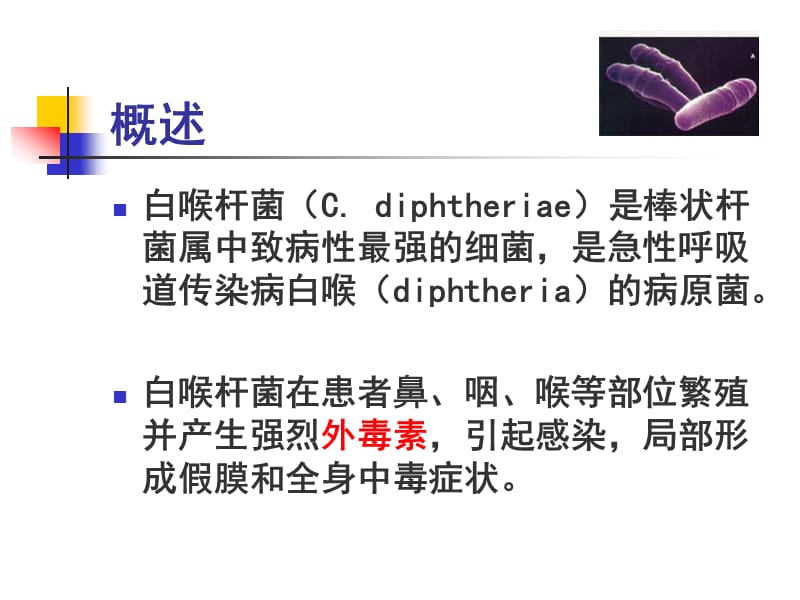 3白喉结核动物其他徐纪平编.ppt_第2页