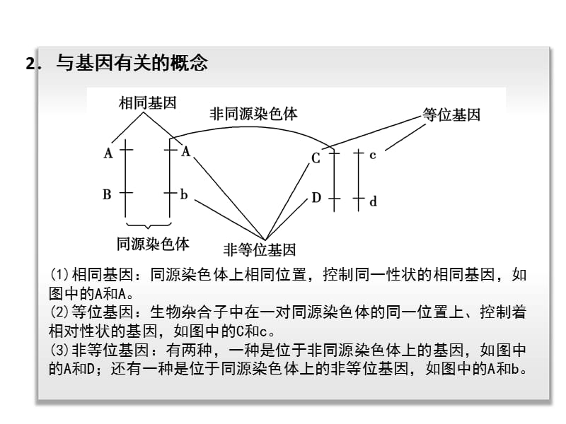 51遗传的基本规律和遗传的细胞基础生物新课标.ppt_第3页