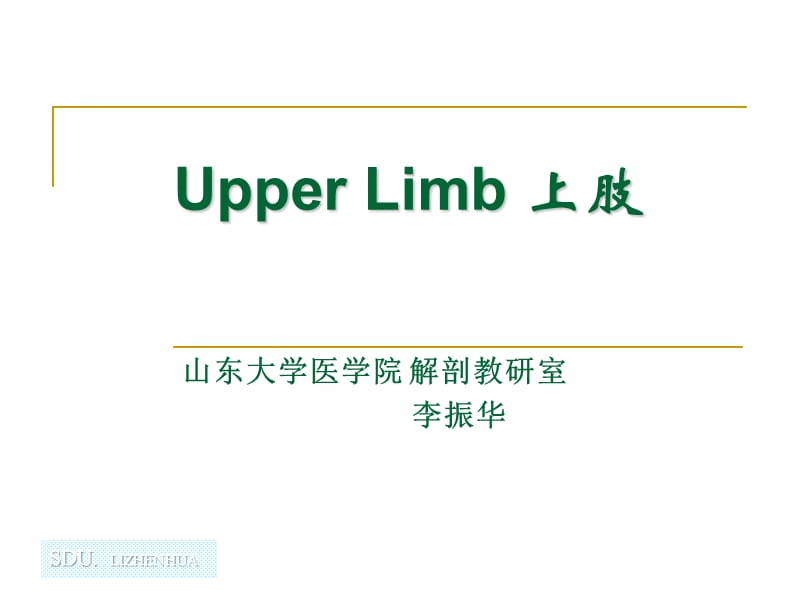 3Upperlimb1.ppt_第1页