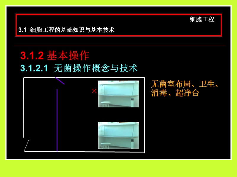 3细胞工程shi.ppt_第3页