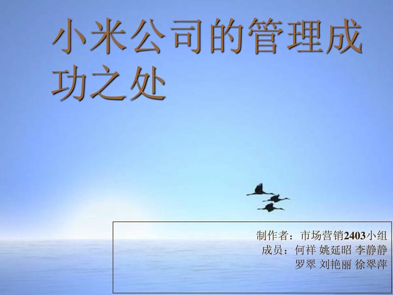 小米公司.PPT_图文.ppt.ppt_第1页