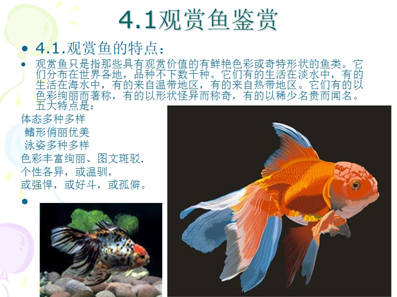 4第4章观赏动物学观赏鱼和观赏龟.ppt_第2页