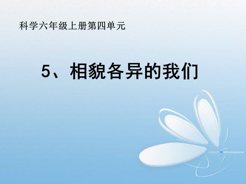 45相貌各异的我们.ppt_第1页