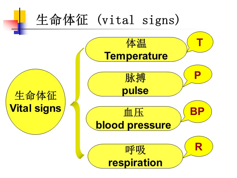 生命体征的评估与护理1.ppt_第2页