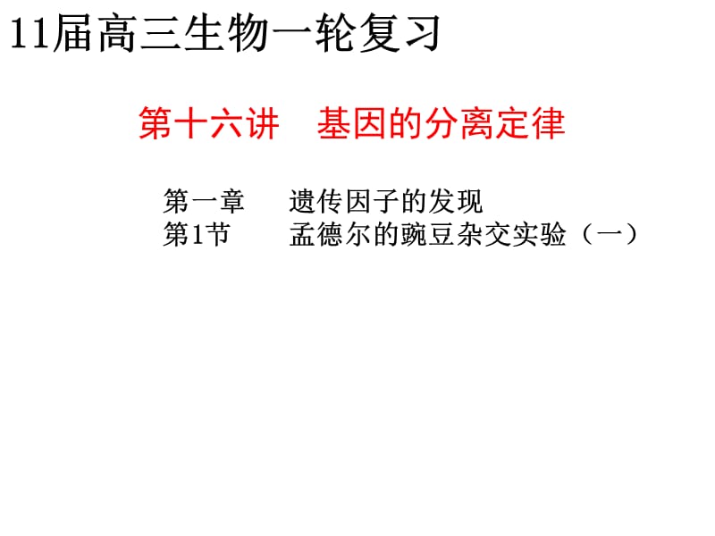 郑州一中2011届高三生物一轮复习课件16基因的分离定律.ppt_第1页