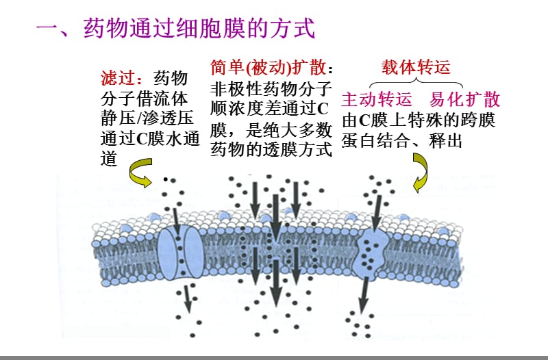 5-2药动学.ppt_第3页