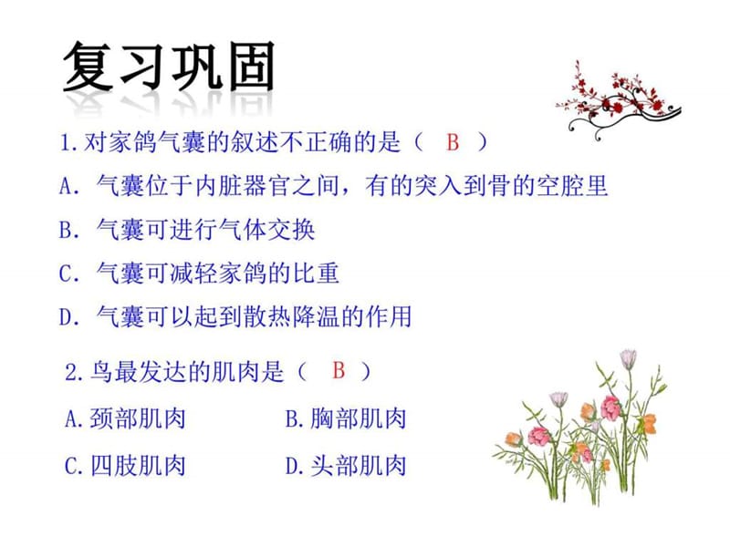 新人教版第五单元第一章第七节 哺乳动物_图文.ppt.ppt_第2页