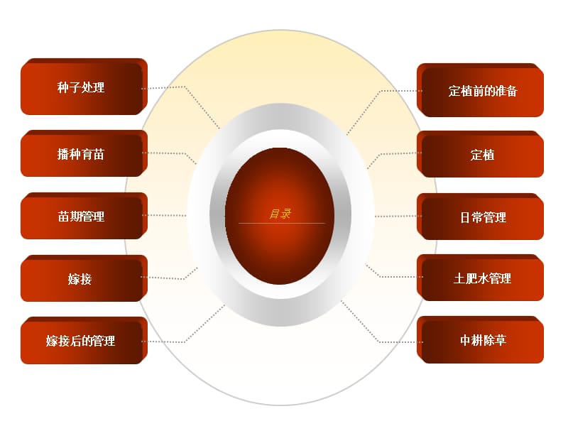 无籽西瓜栽培技术.ppt_第3页