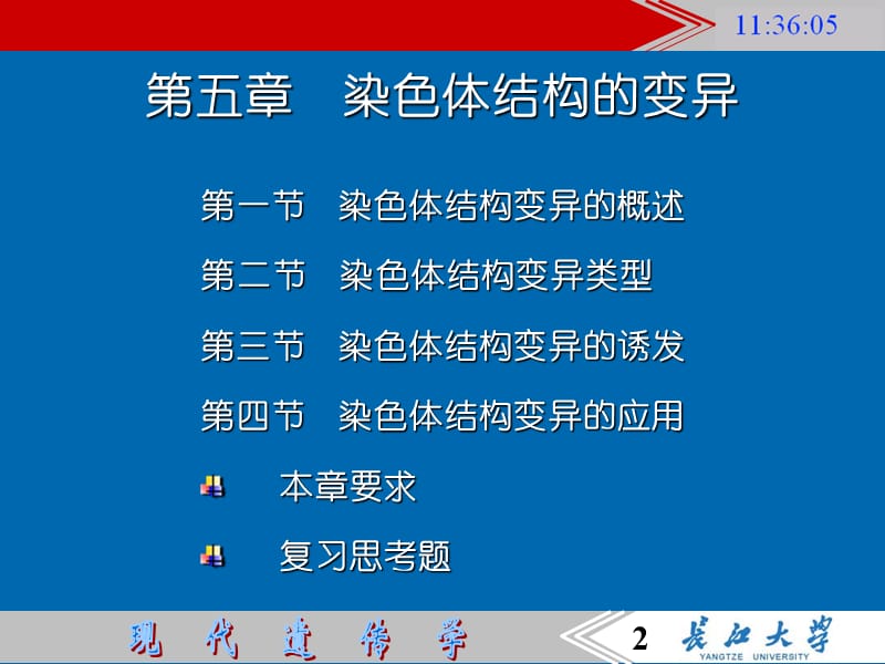 5染色体结构的变异100.ppt_第2页