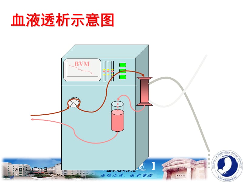 血液透析充分性评价.ppt_第3页