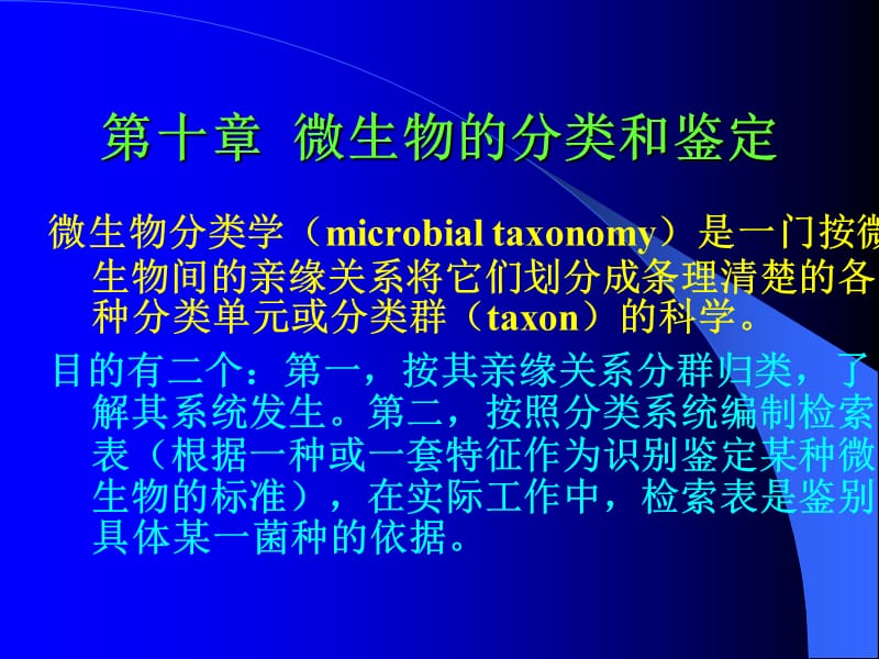 201313第十章微生物分类鉴定-生工.ppt_第1页