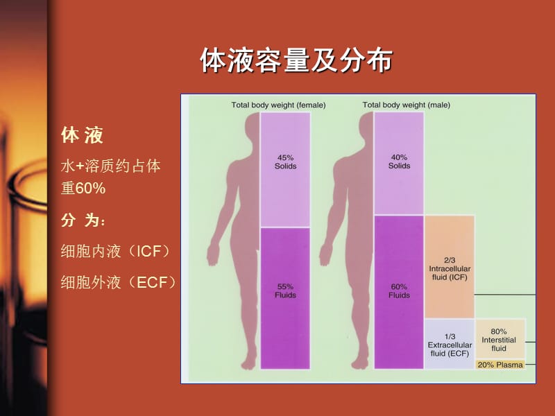 水、电解质与酸碱平衡紊乱.ppt_第3页