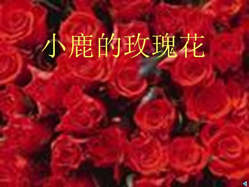 新人教版小学语文二年级下册4、《小鹿的玫瑰花》精品课件.ppt_第1页