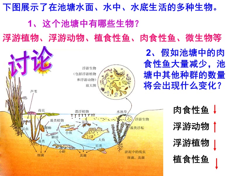 4-3群落的结构.ppt_第2页