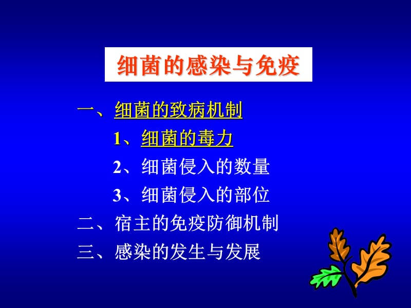 6感染与免疫-细菌的致病作用.ppt_第2页