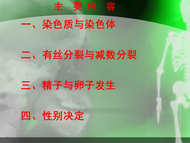 遗传的细胞基础yaoji.ppt_第2页