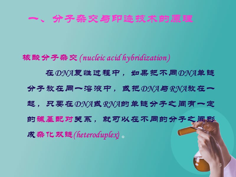 第二十二章常用分子生物学技术的原理及应用课件.ppt_第3页