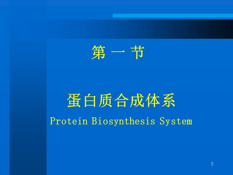 第十二章蛋白质的生物合成课件.ppt_第3页