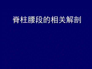 脊柱腰段解剖.ppt