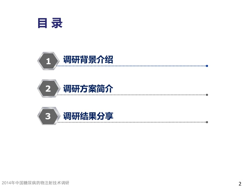 2014年糖尿病药物注射技术调研 ppt课件.ppt_第2页