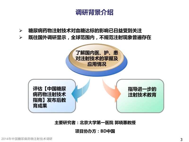 2014年糖尿病药物注射技术调研 ppt课件.ppt_第3页