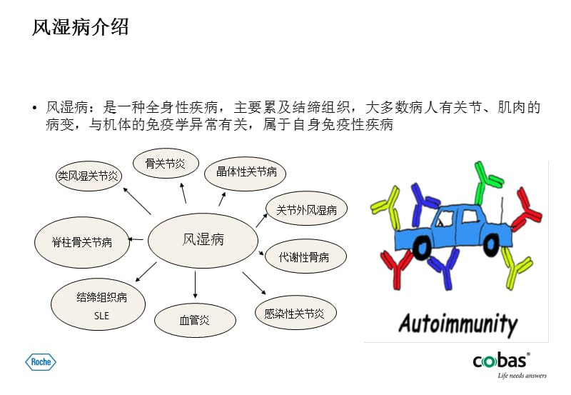 826-Elecsys Anti-CCP 抗环瓜氨酸肽抗体全自动电化学发光 18分钟出结果.ppt_第2页