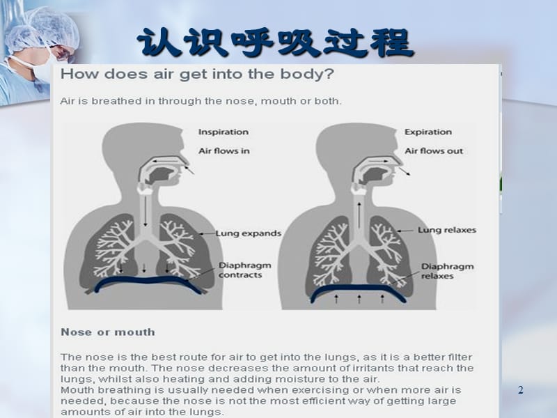 copd健康教育 ppt课件.ppt_第2页