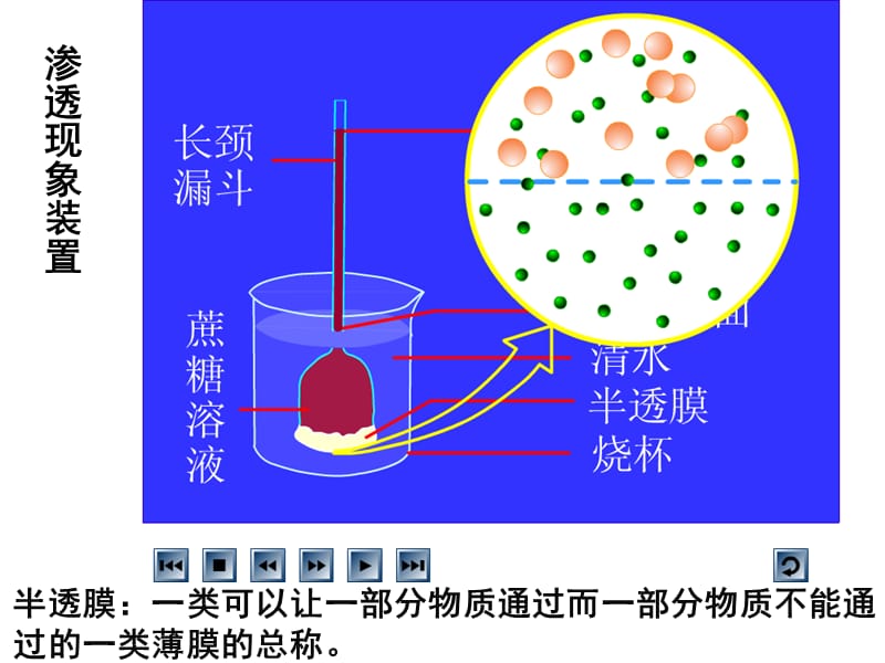 742-第四章 物质的输入和输出.ppt_第2页