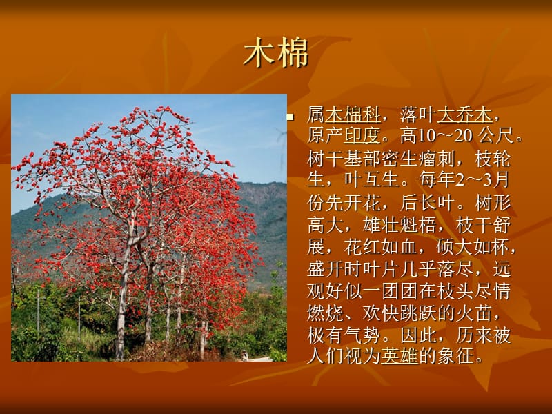 适合南方种植的植物.ppt_第3页