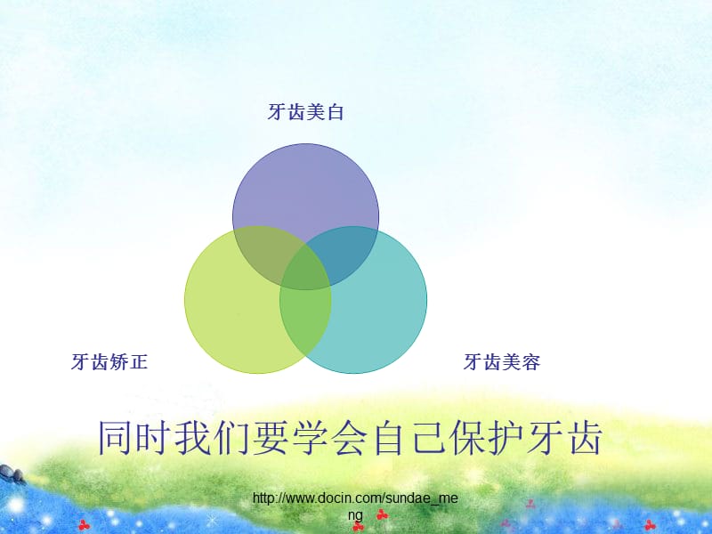 【课件】牙齿美容.ppt_第2页