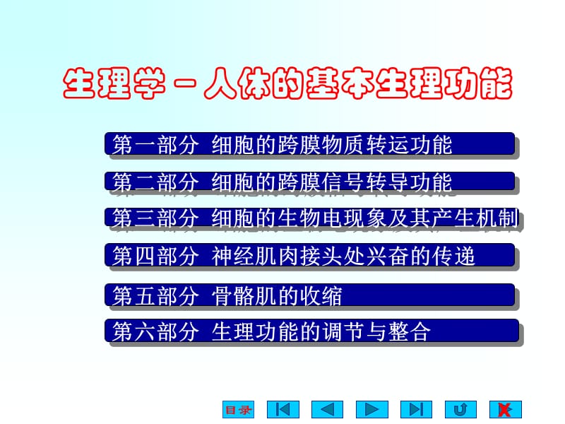 人体的基本生理功能.ppt_第1页