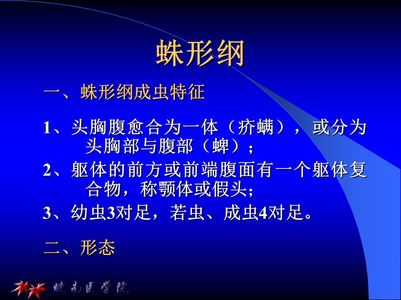 第九章 蛛形纲.ppt_第1页