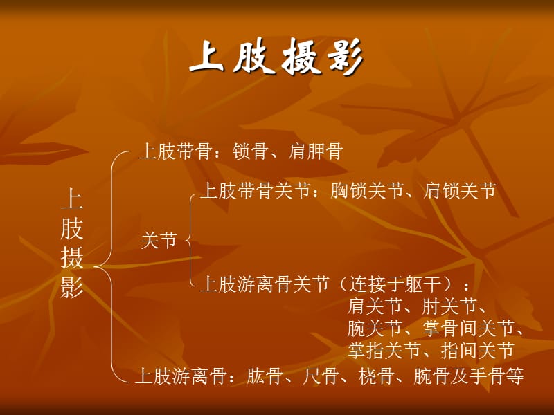 第三章 第四节 骨骼四肢摄影检查技术.ppt_第3页