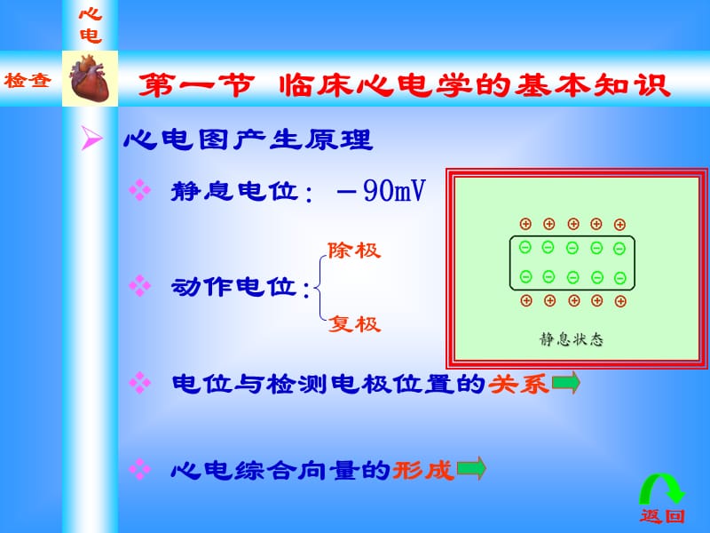 第五篇第一章 心电图.ppt_第3页