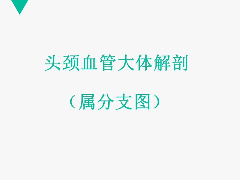 cta头颈血管解剖分段 ppt课件.ppt_第2页