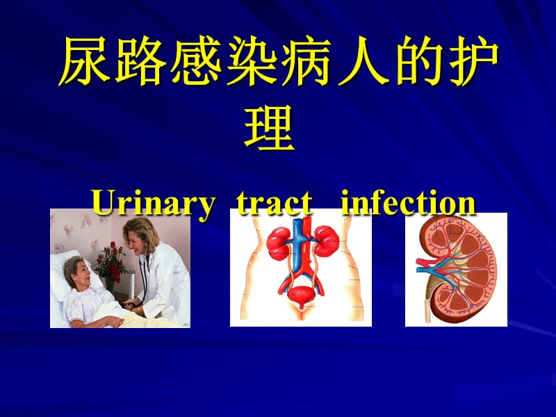 第三节尿路感染病人的护理.ppt_第1页