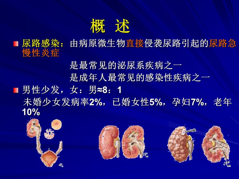 第三节尿路感染病人的护理.ppt_第2页