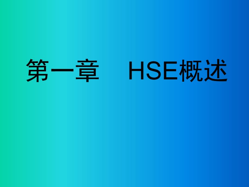 hse管理体系.ppt_第2页