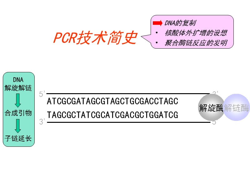 pcr技术及其应用 ppt课件.ppt_第3页