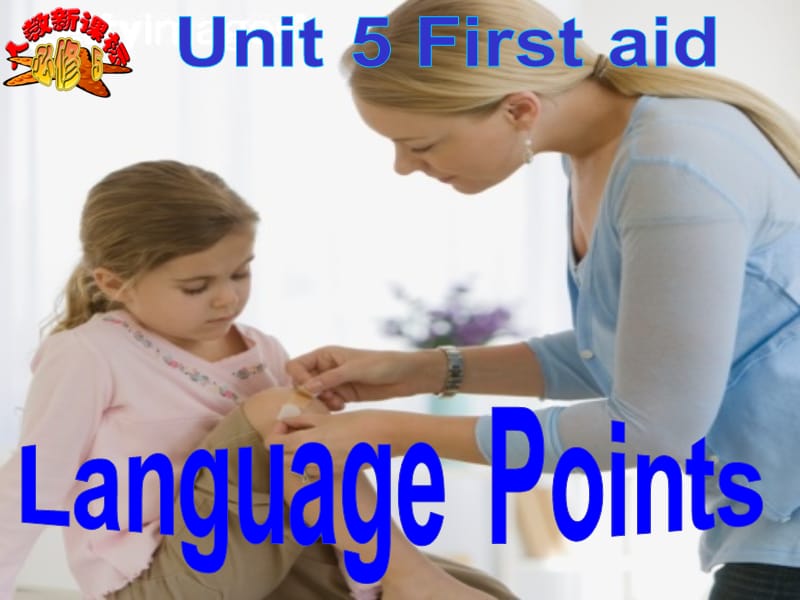 languagepoints ppt课件.ppt_第2页