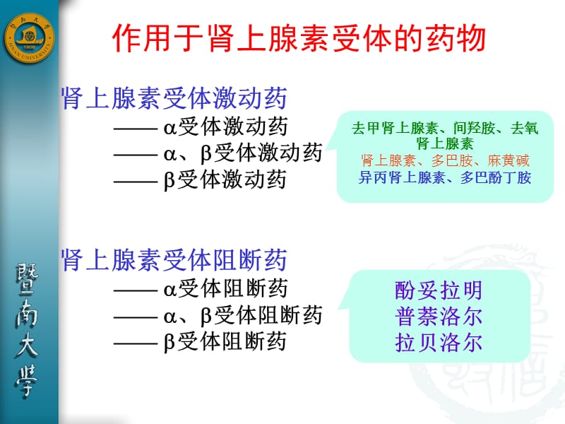 第十章 肾上腺素受体激动药.ppt_第1页