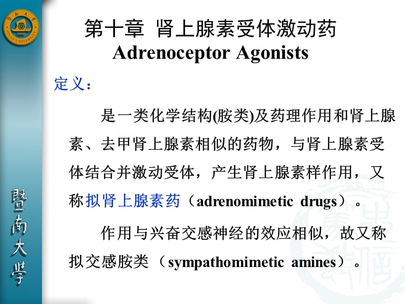 第十章 肾上腺素受体激动药.ppt_第2页