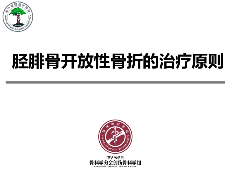 胫腓骨开放性骨折的治疗原则().ppt_第1页