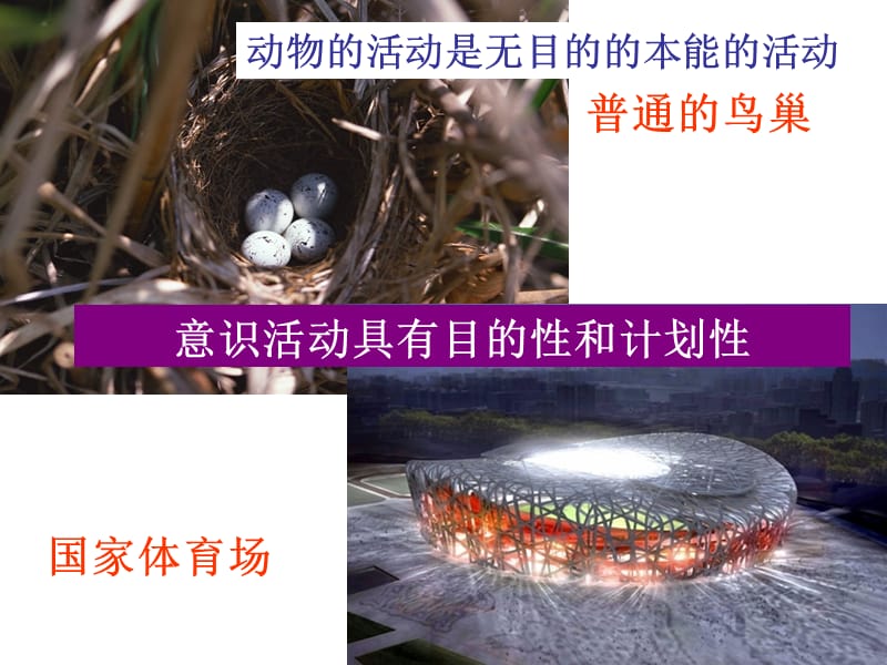 第五课 把握思维的奥妙.ppt_第3页