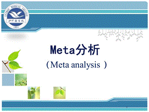 meta分析 ppt课件.ppt