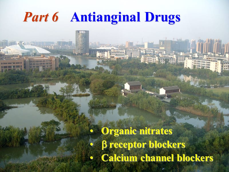 antianginaldrugs抗心绞痛药 ppt课件.ppt_第1页