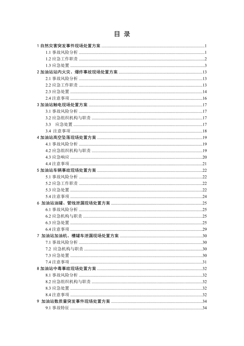 加油站现场处置方案(全套).doc_第2页