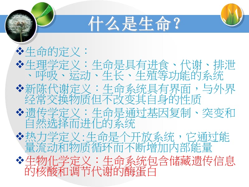 生化维生素.ppt_第3页