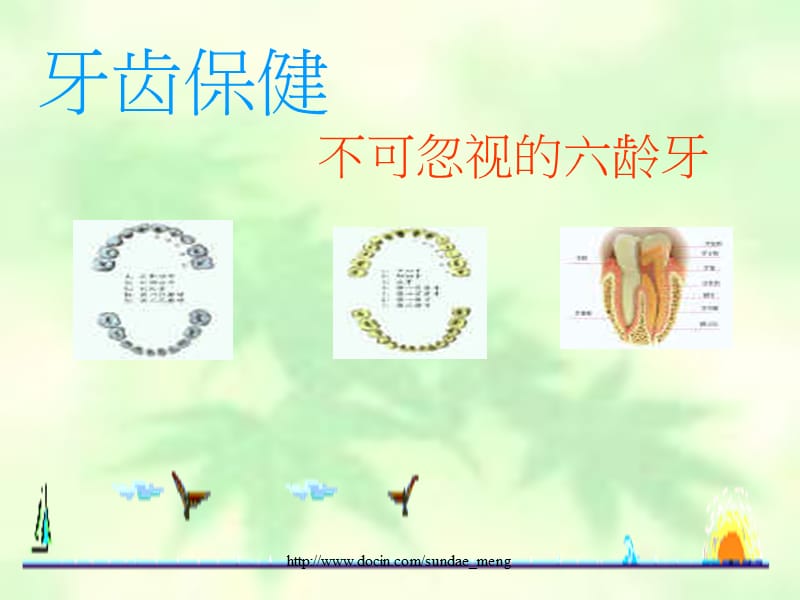 【课件】牙齿保健 不可忽视的六龄牙.ppt_第1页